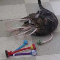 Thumbnail photo of Kameryn #3