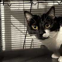 Thumbnail photo of Logan #1