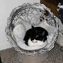 Thumbnail photo of Logan #3