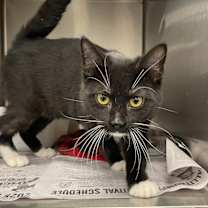 Thumbnail photo of Bond #1