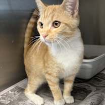 Thumbnail photo of Kaydo #1