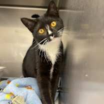 Thumbnail photo of Taylor #1