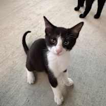 Thumbnail photo of Sprout JG #1