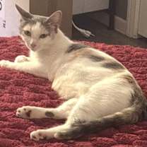 Thumbnail photo of Noelle #2