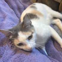 Thumbnail photo of Noelle #3