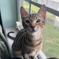 Thumbnail photo of Jaq #1