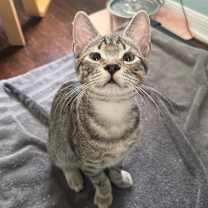 Thumbnail photo of Gus #1