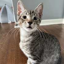 Thumbnail photo of Gus #4