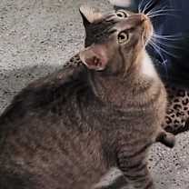 Thumbnail photo of Max #2