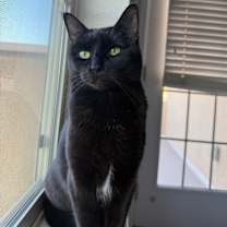 Thumbnail photo of Zenna #1