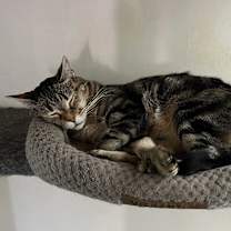 Thumbnail photo of Floyd & Jewel #3