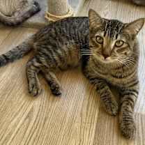 Thumbnail photo of Floyd & Jewel #4