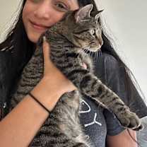 Thumbnail photo of Zoe #2