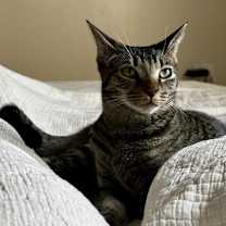 Thumbnail photo of Zoe #3