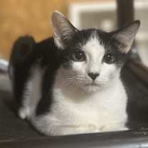 Thumbnail photo of Yeti #1