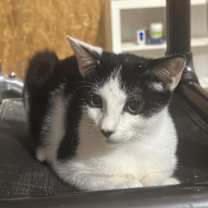 Thumbnail photo of Yeti #3