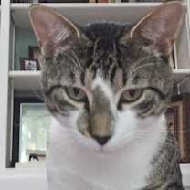 Thumbnail photo of Lover Boy #1