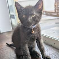 Thumbnail photo of Jackie #2