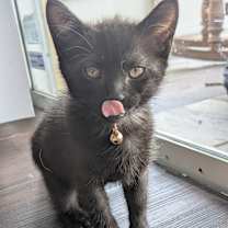 Thumbnail photo of Jackie #3