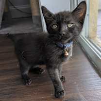 Thumbnail photo of Jackie #4