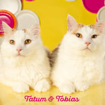 Thumbnail photo of Tobias #1