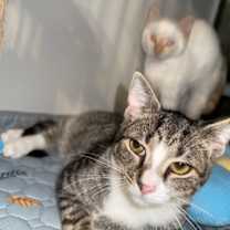 Thumbnail photo of Mike #2