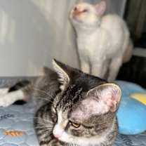 Thumbnail photo of Mike #3