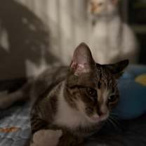 Thumbnail photo of Mike #4