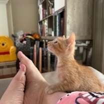 Thumbnail photo of Andy #3