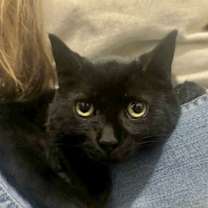 Thumbnail photo of Veronica #2