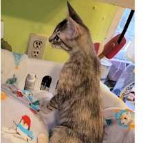 Thumbnail photo of Lorna #4