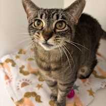 Thumbnail photo of Milly #2