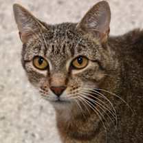 Thumbnail photo of Lola #2