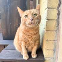 Thumbnail photo of Booger Bristol #2