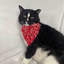 Thumbnail photo of Davey #3