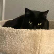 Thumbnail photo of Yeva #3