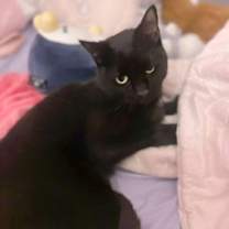 Thumbnail photo of Asha #4