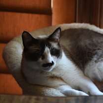 Thumbnail photo of Faye #1