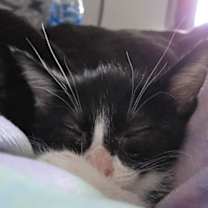 Thumbnail photo of Sara Tee (AKA Sarah) #2