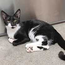 Thumbnail photo of Lucy #4