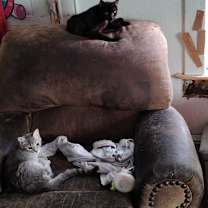 Thumbnail photo of Whiney #2