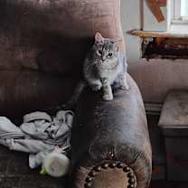 Thumbnail photo of Whiney #3