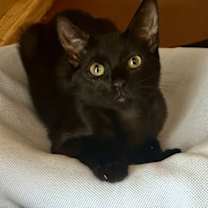 Thumbnail photo of Jess #1