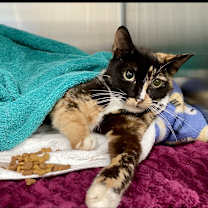 Thumbnail photo of Jasmine #2