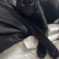 Thumbnail photo of Duncan #2