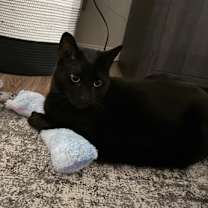 Thumbnail photo of Duncan #3