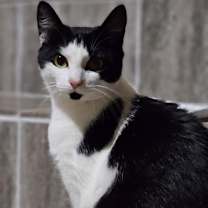 Thumbnail photo of Pistachio $50 #2