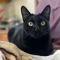 Thumbnail photo of Kiki #1