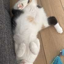 Thumbnail photo of Coco and Mommy Mary #2