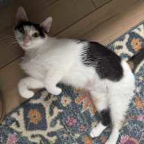 Thumbnail photo of Coco and Mommy Mary #4